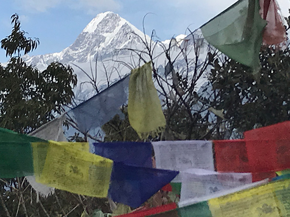 Constructing a Theory of Tibetan and Himalayan Pastoral Culture - Based on systematic comparisons of folk vocabulary -