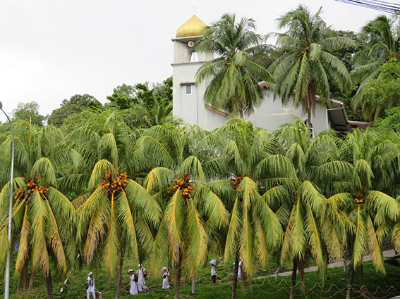 Multi-disciplinary Study on the Interactions between Islamism and Socio-cultural Factors in Southeast Asia-Transnational Networks and Local Responses