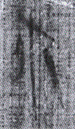 佐3