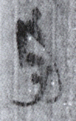 守(8-1525a)
