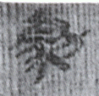 勮(8-1514a)01
