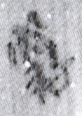 勮(8-2089)