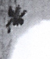 図①