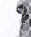 図②