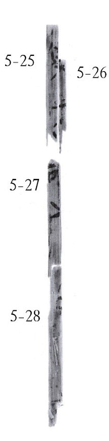 5-25+5-26綴合