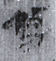 務(8-0495)
