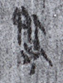 務(8-0145a)