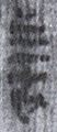 善(8-0205a)