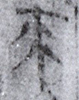 來(8-0657b)02