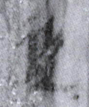 簡8-0532a+0674a+0528a従字