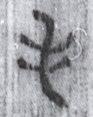 簡8-1529a毛字