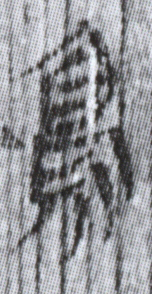 簡8-1562a鳥字（第三字）