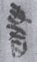簡8-0135a書字