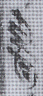 簡8-0166a+0075a書字