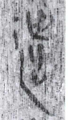 簡8-2217遣字