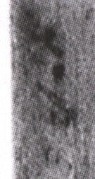 簡9-0600益字