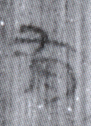 簡0176+0215a有字
