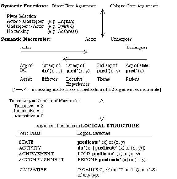 Silverstein M.1976.hierarchy Of Features And Ergativity