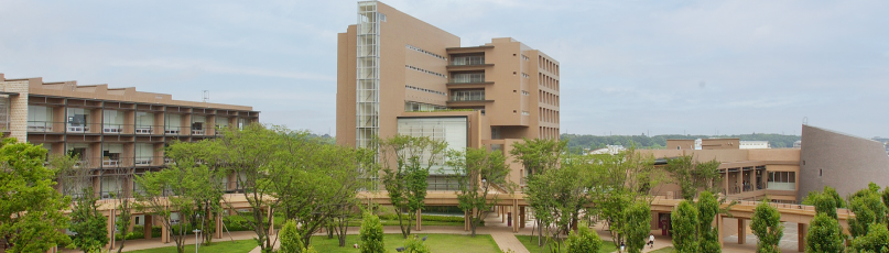 Graduate Courses/Junior Scholars
