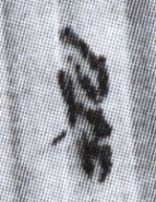 居(⑧1831)