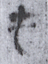 簡8-0140a屯字
