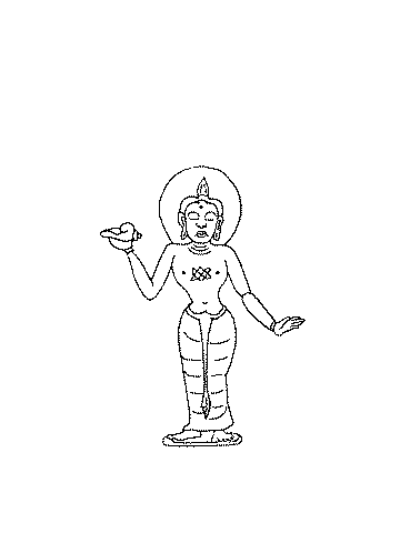 【貴重)ほら貝 Amazon.co.jp: 法螺貝 大型 28cm 極 貝 貝殻 ホラガイ ホラ貝