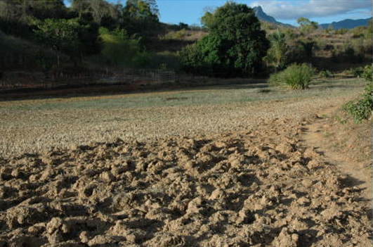 ��鯂̂��ߍk�N�����s���d�킳��Ȃ��������c