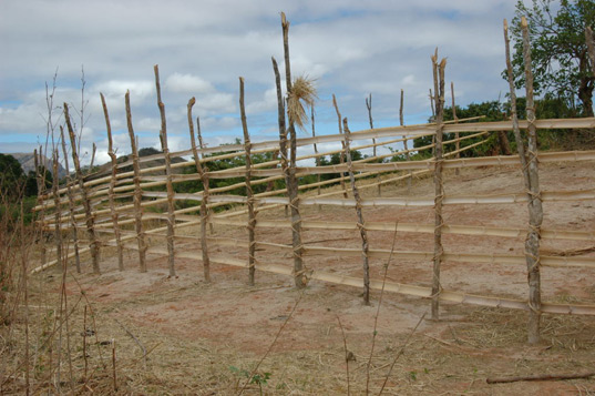 �E����̍�Ɍ��΂ꂽkosa�̕W��