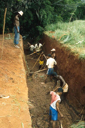 ���c�ւ̓����H�̊J�w